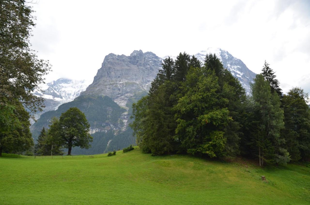 Apartment Grindelwaldgletscher - Griwa Rent Ag Экстерьер фото