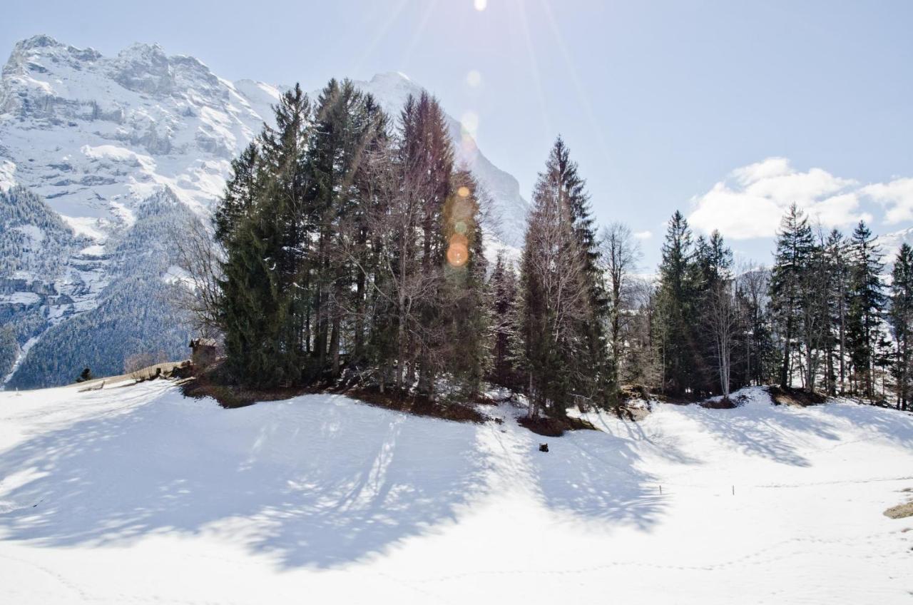 Apartment Grindelwaldgletscher - Griwa Rent Ag Экстерьер фото
